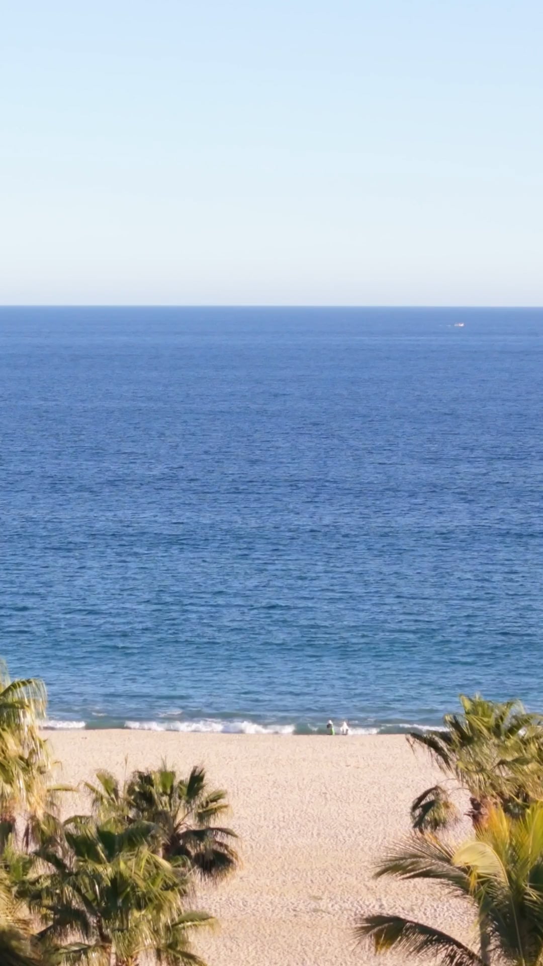 Longevity Medical Institute