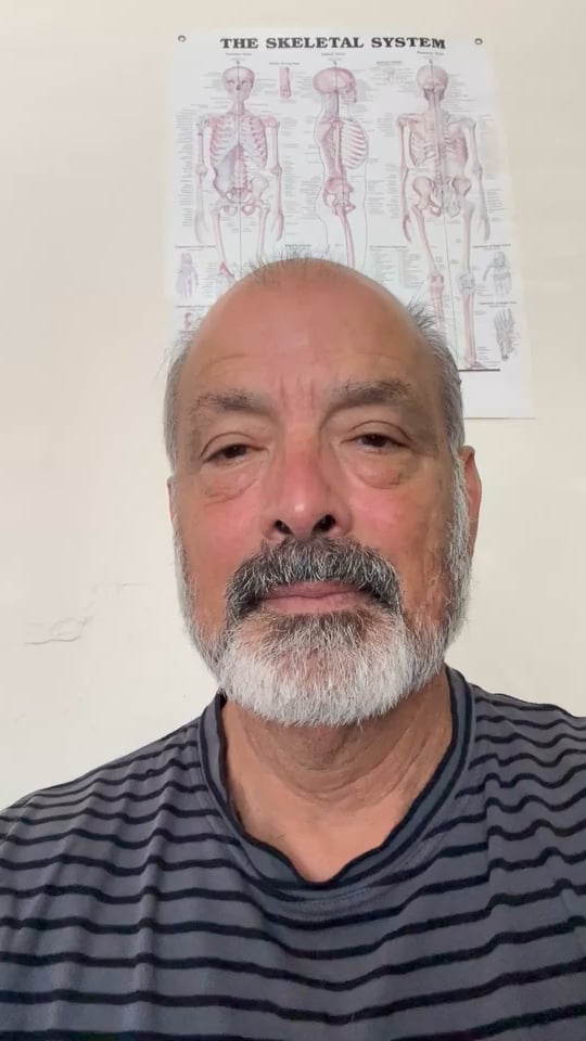 Portillo Chiropractic, Digestive/Wellness